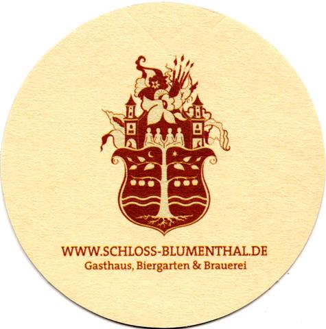 aichach aic-by blumenthal rund 1a (215-www schloss)